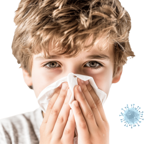 Air Ducts Cleaners Humble TX